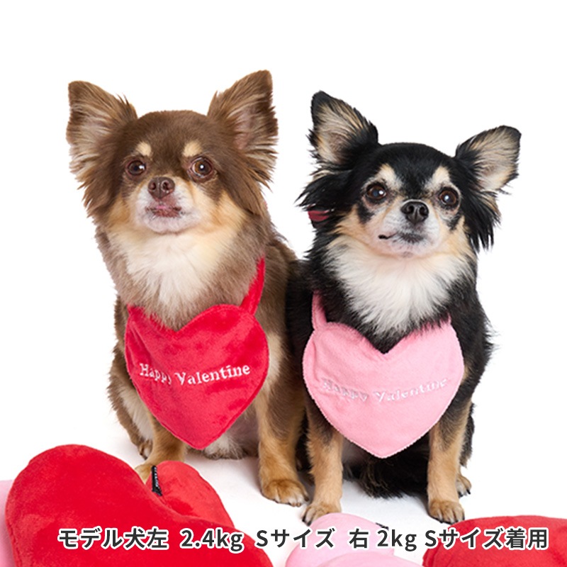 リバーシブルハートスタイ | Event（イベントグッズ） | LIFE LIKE