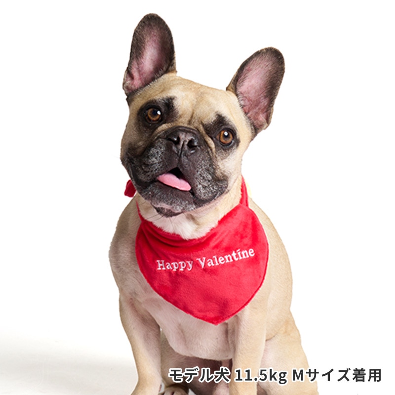 リバーシブルハートスタイ