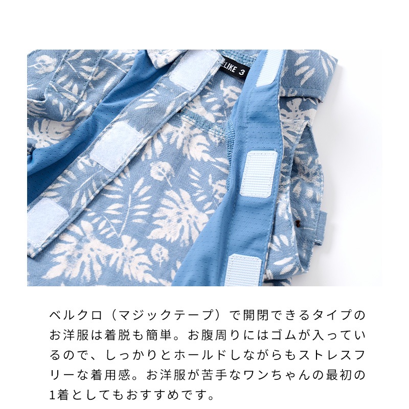 リゾートアロハ