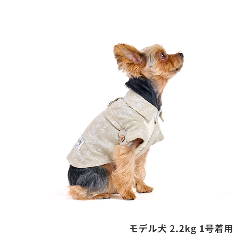 リゾートアロハ