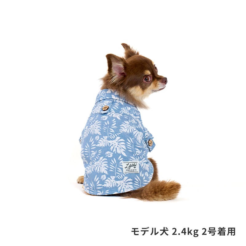 リゾートアロハ