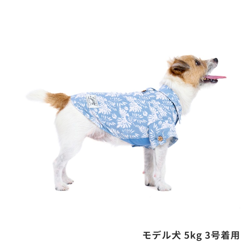 リゾートアロハ