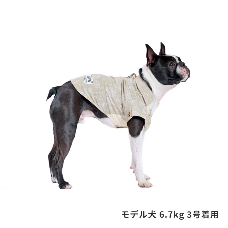 リゾートアロハ