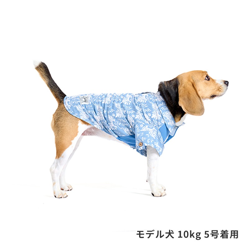 リゾートアロハ