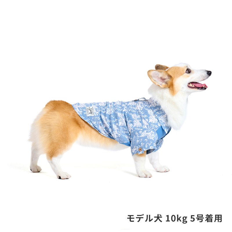リゾートアロハ