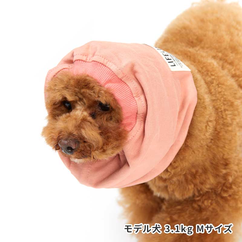 ベーシックスヌード