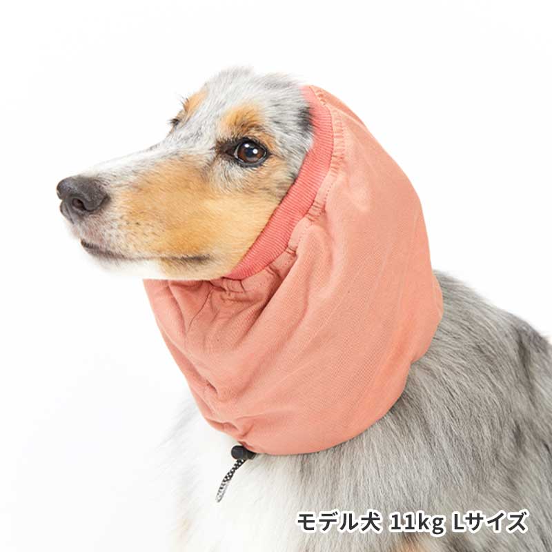 ベーシックスヌード