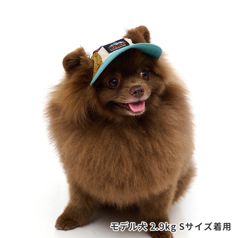 アウトドアマルチカラーキャップ