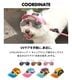 アウトドアマルチカラーキャップ