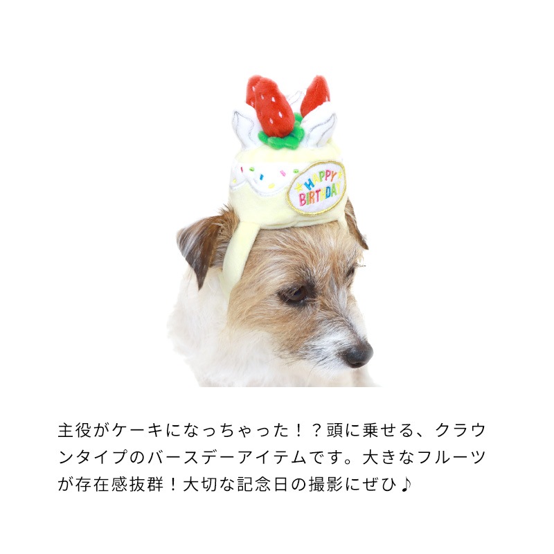 バースデーケーキクラウン