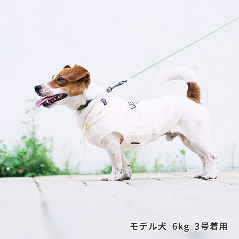ドッグタイプフーディー
