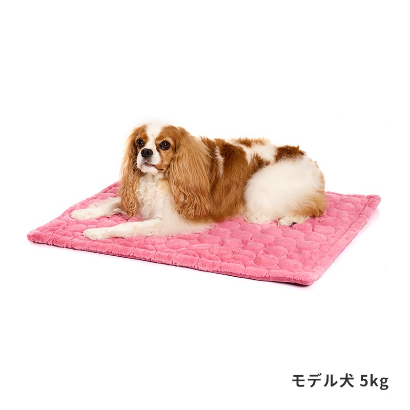 ナチュラルリバーシブルマット