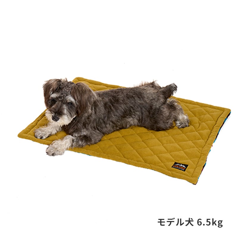 OSICA ダンまち　リリルカ・アーデ  ラバーマット オシカ】リリルカ・アーデ【☆2】[ダンまち]01-022OSICA - 通販