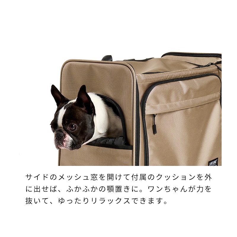 ボイジャーバックパック