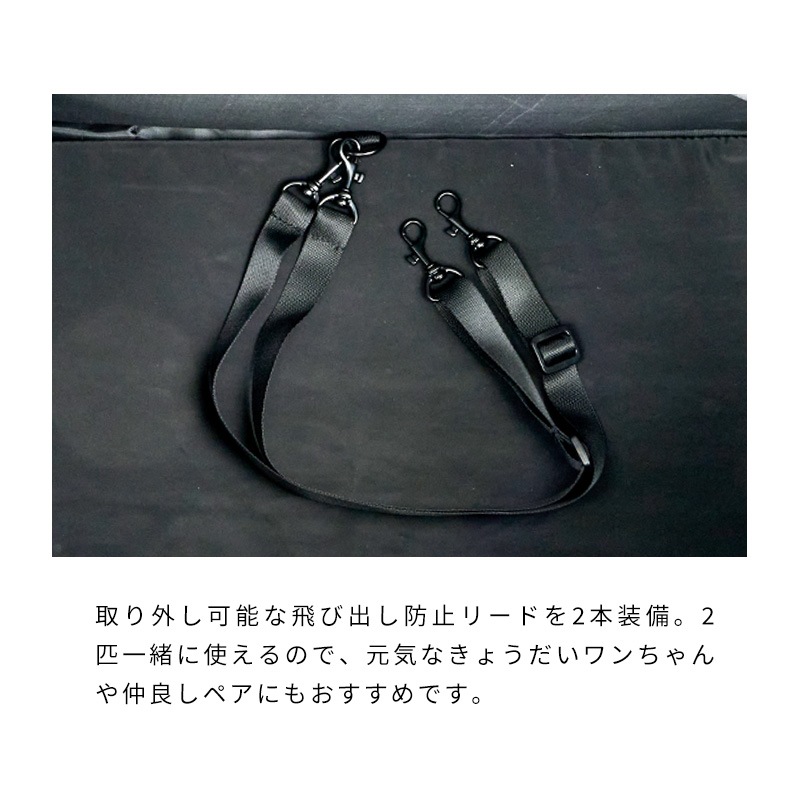 ボイジャーバックパック