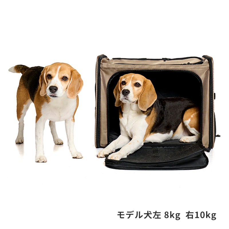 ボイジャーバックパック