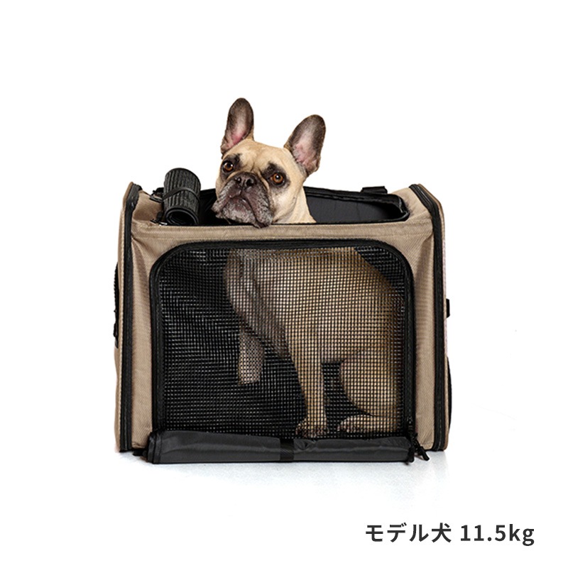 ボイジャーバックパック