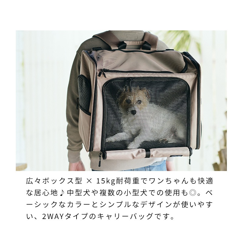 ボイジャーバックパック