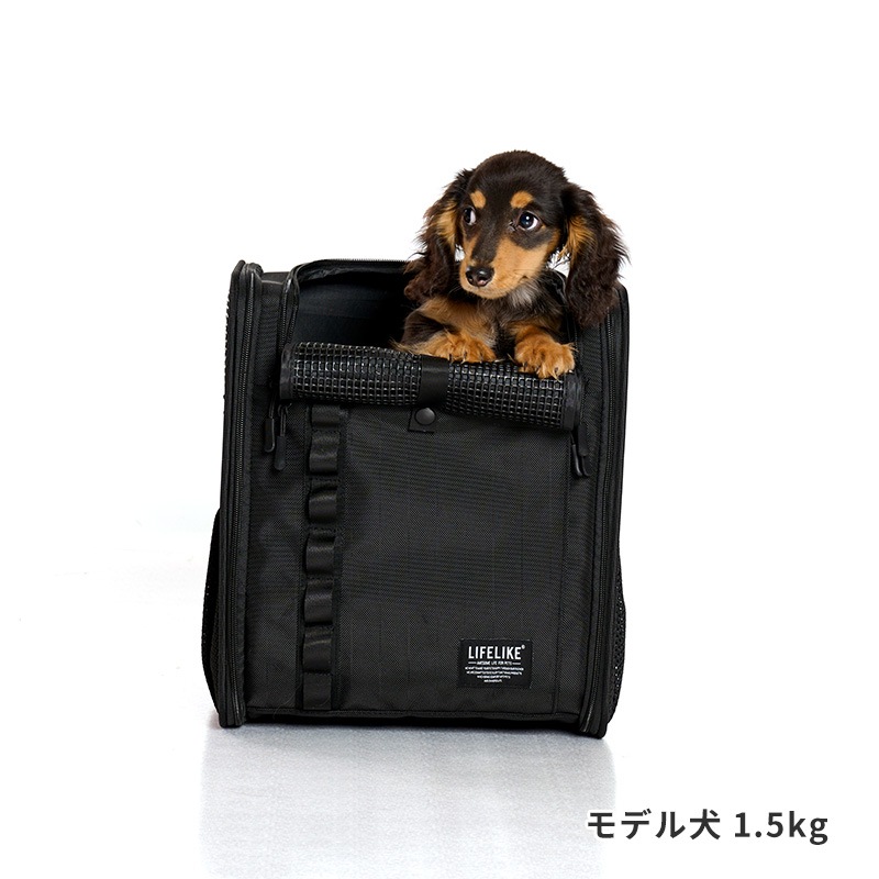 フィールドギアバイシクルキャリー