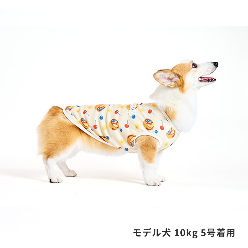 ハワイアンフードタンク