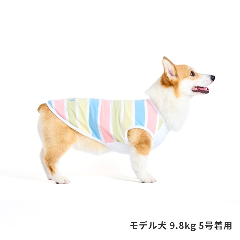 マルチボーダーロゴタンク