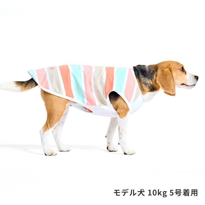 マルチボーダーロゴタンク