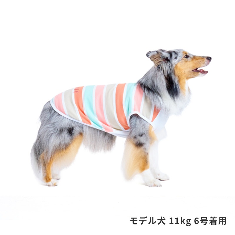 マルチボーダーロゴタンク