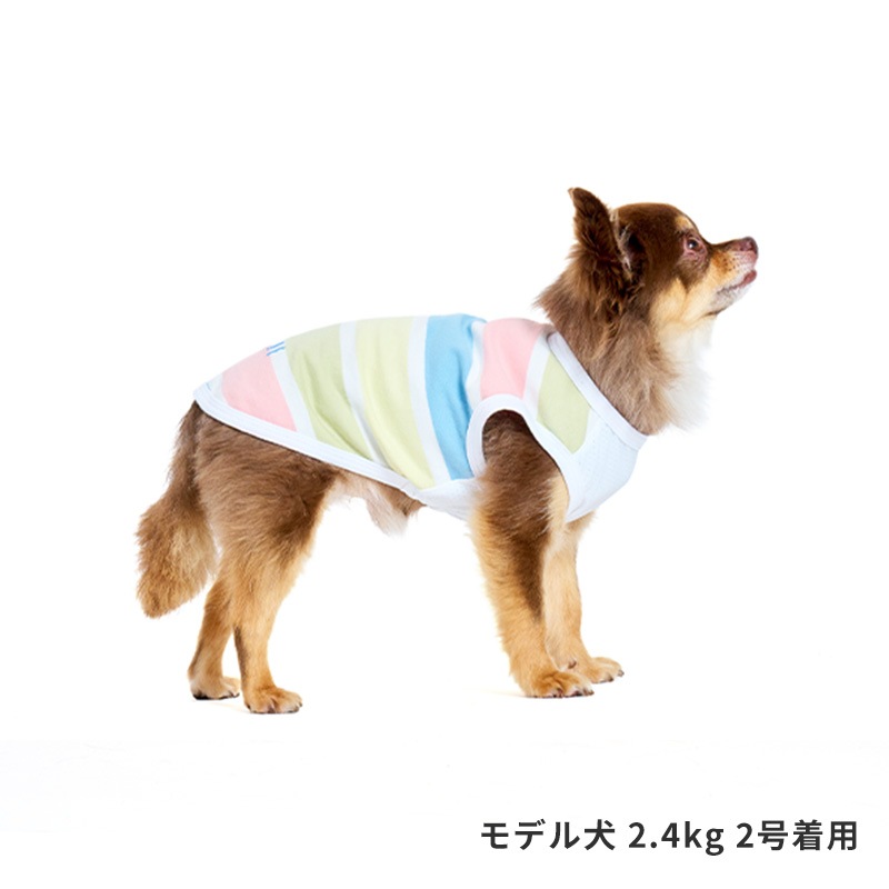 マルチボーダーロゴタンク