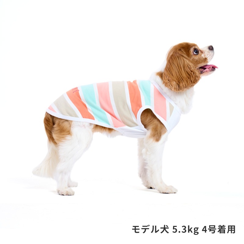 マルチボーダーロゴタンク