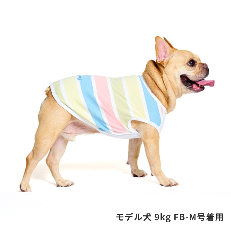 マルチボーダーロゴタンク