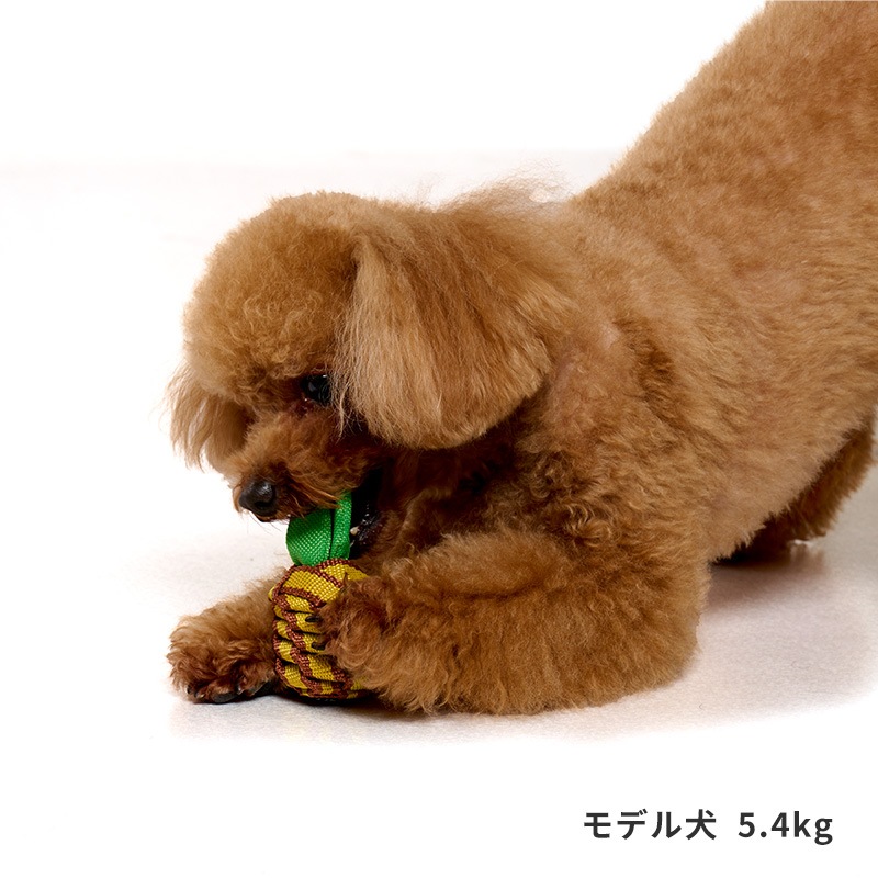 タフテープフルーツトイ