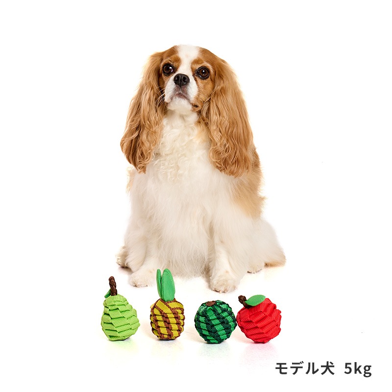 タフテープフルーツトイ