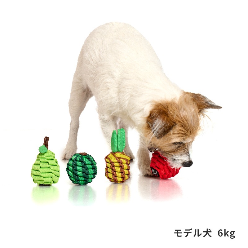 タフテープフルーツトイ