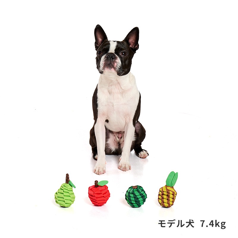 タフテープフルーツトイ