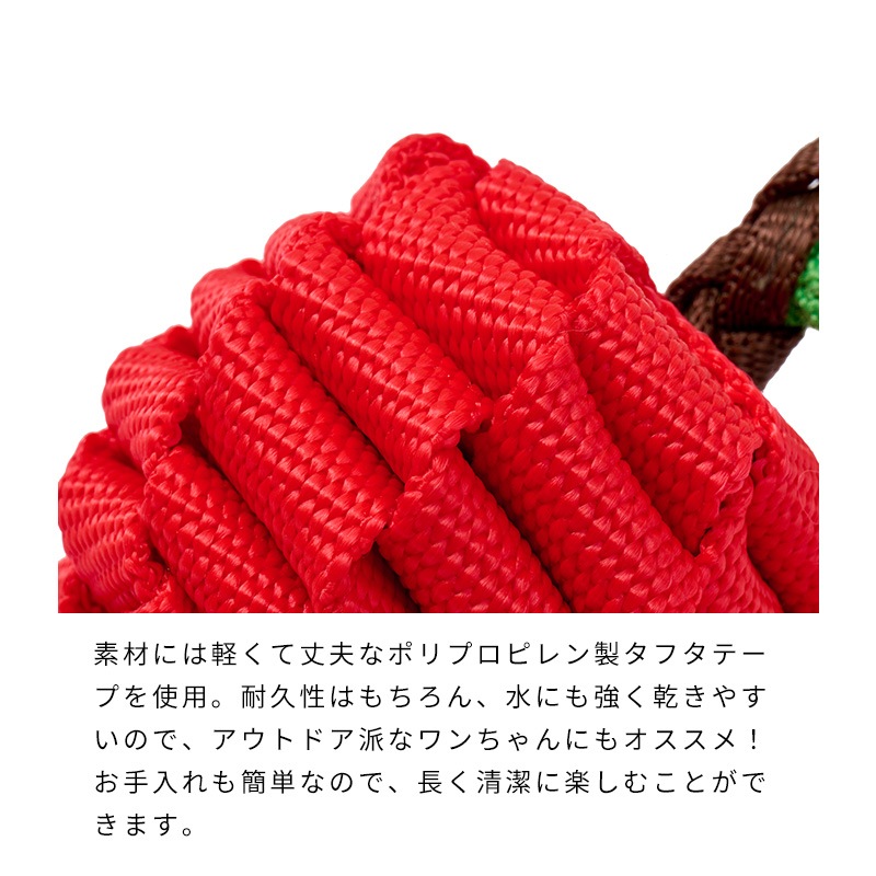 タフテープフルーツトイ