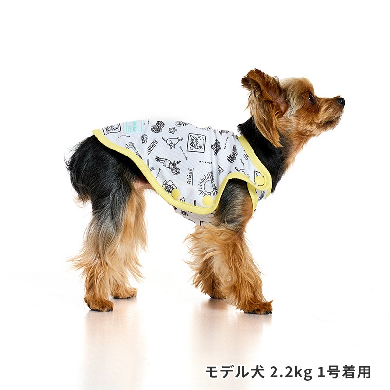 シーサイドフルオープンタンク