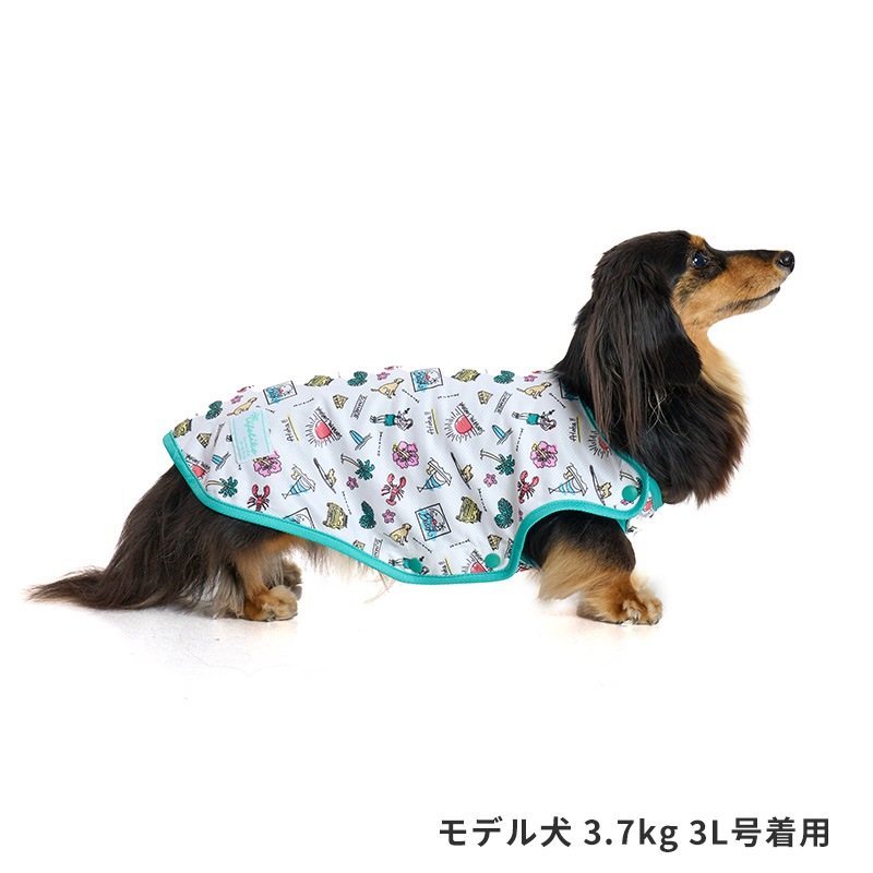 シーサイドフルオープンタンク
