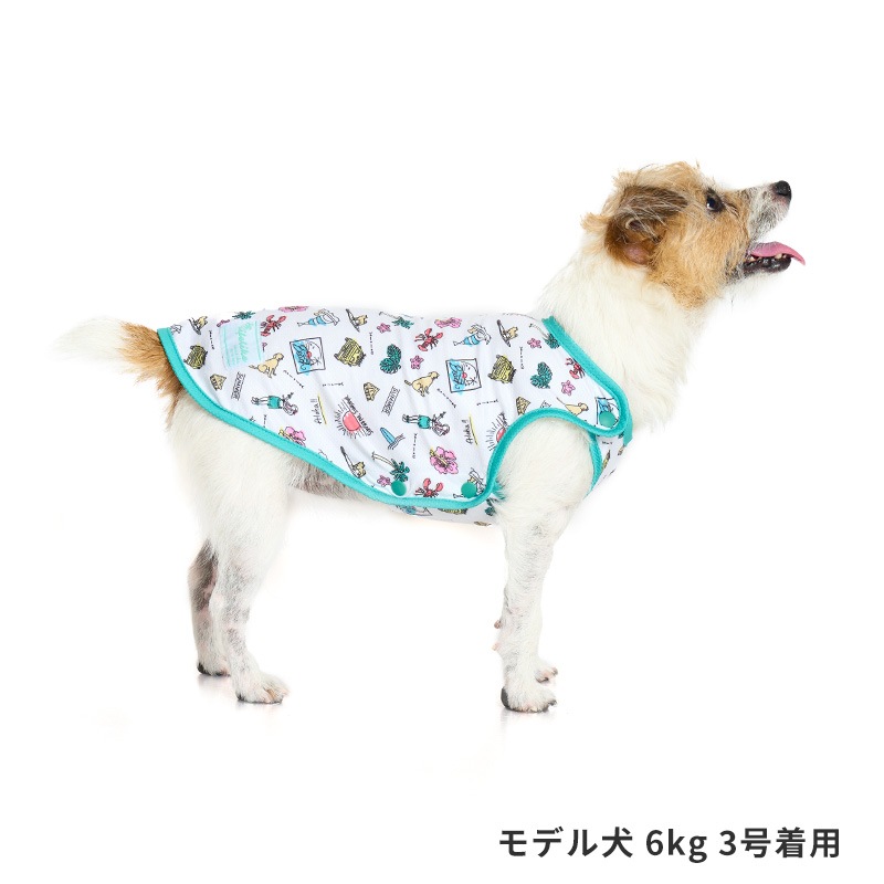 シーサイドフルオープンタンク