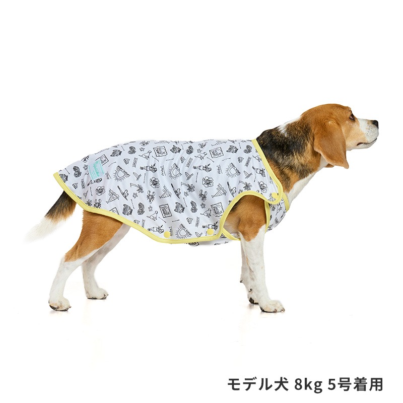 シーサイドフルオープンタンク