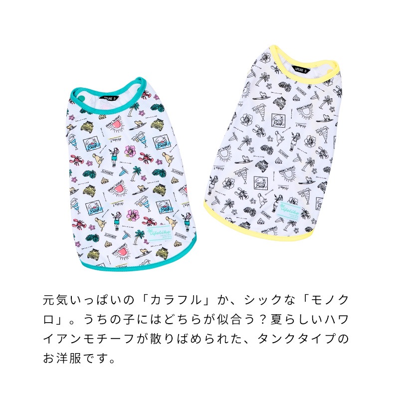 シーサイドフルオープンタンク
