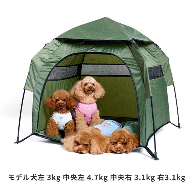 Lifelike Petit Villa Tent 犬用テント LIFELIKEプチヴィラテント | Bed(ベッド) | LIFE LIKE 【犬服