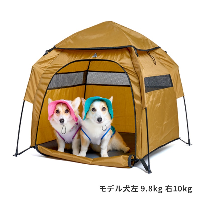 Lifelike Petit Villa Tent 犬用テント LIFELIKEプチヴィラテント | Bed（ベッド） | LIFE LIKE 【犬服