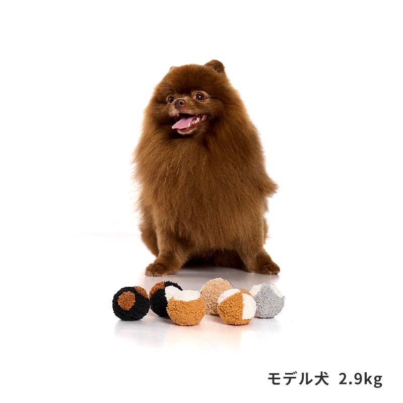 コートカラースパイクボール