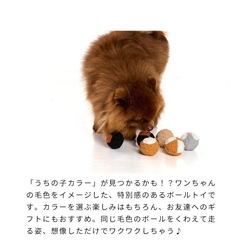 コートカラースパイクボール