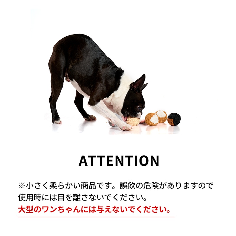 コートカラースパイクボール