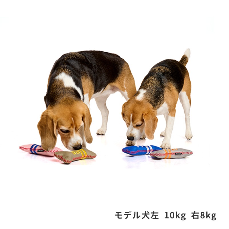 ベースボールボーントイ