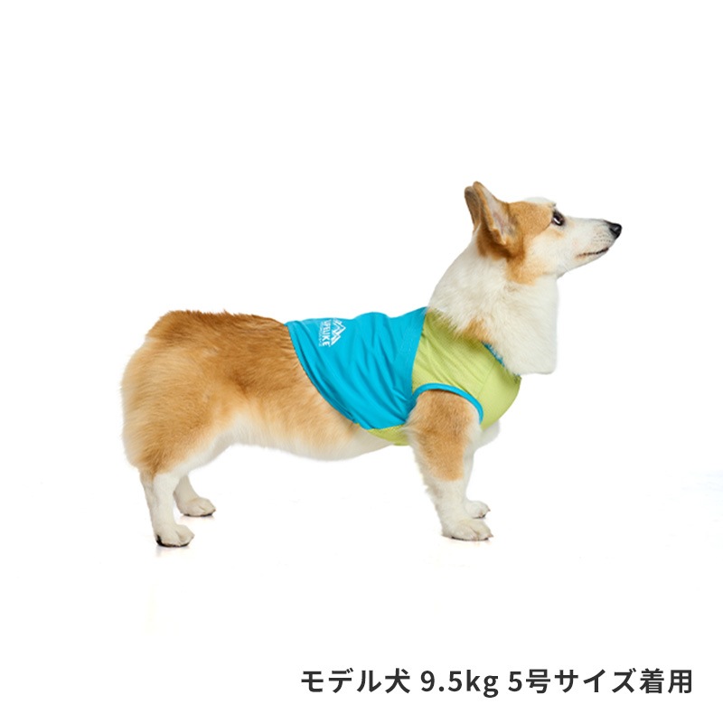 ICEビタミンカラーベスト