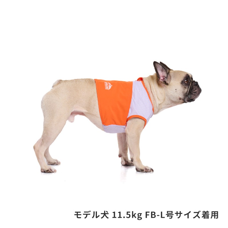 ICEビタミンカラーベスト