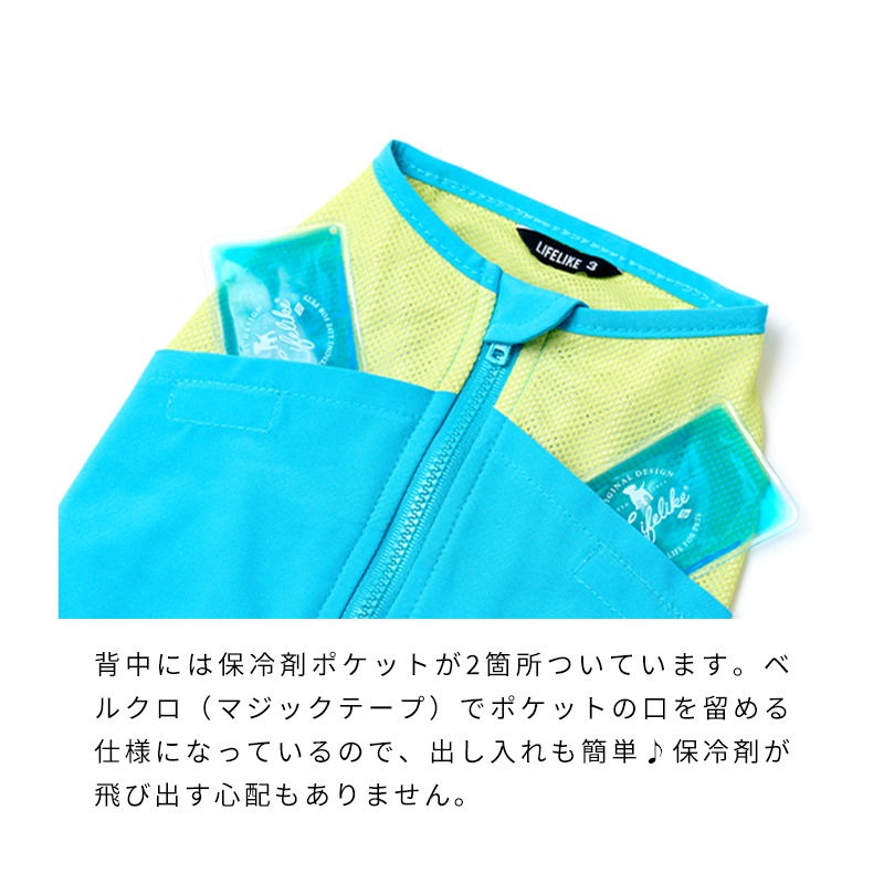 ICEビタミンカラーベスト