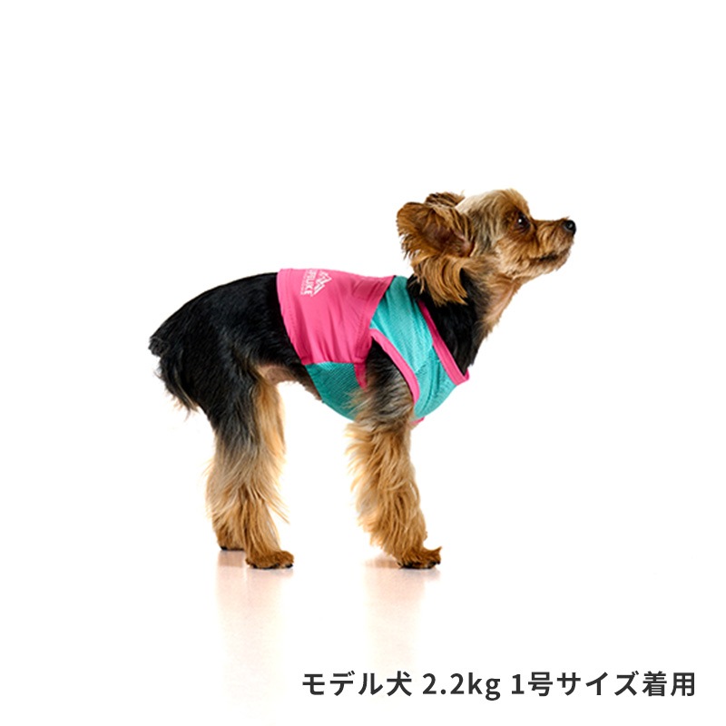 ICEビタミンカラーベスト